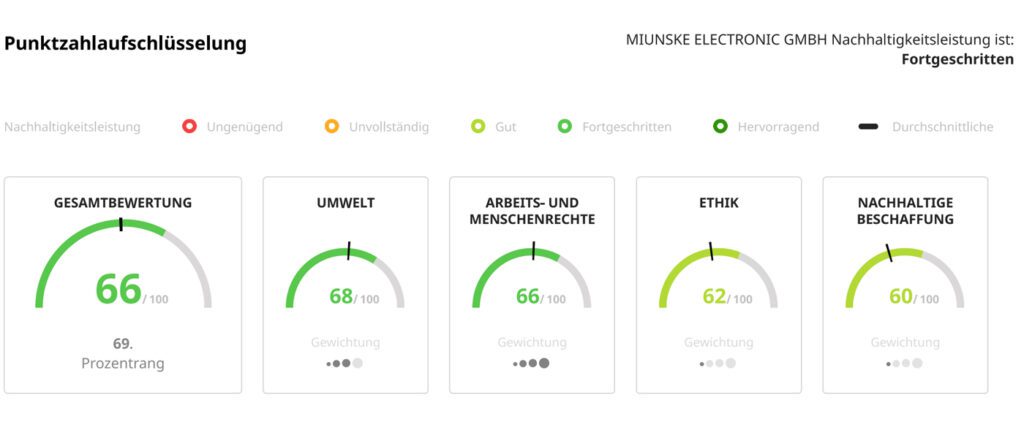Darstellung ECOVADIS Punktaufschlüsselung 2026